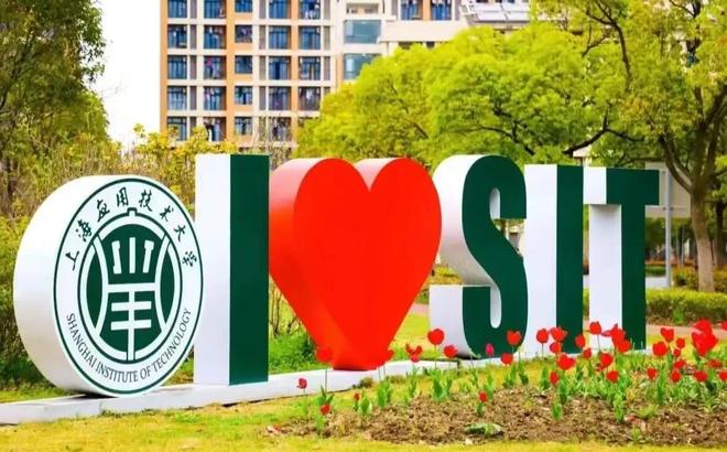 别发愁！这个黄金赛道就业香极了开元棋牌试玩高考500分段女生(图4)